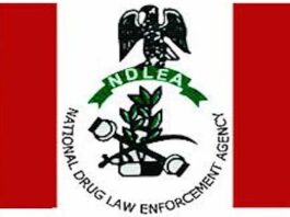 Nigeria Arrests 8,634 Drug Traffickers In 8 Months, Seizures Worth N100Bn - Marwa