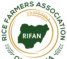 Nigeria To Start Rice Exportation Soon, Says RIFAN Nigeria To Start Rice Exportation Soon, Says RIFAN