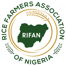 Nigeria To Start Rice Exportation Soon, Says RIFAN