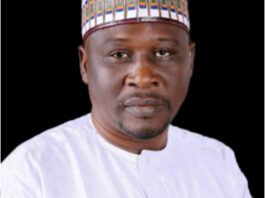 Adamawa governor