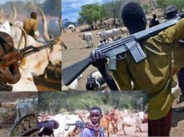 Eight Herdsmen abduct, collect N22million from victims