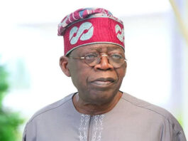 South south elders move against Tinubu in 2023