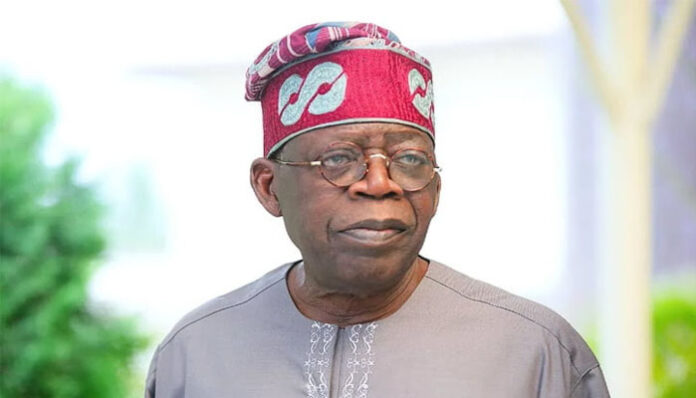 South south elders move against Tinubu in 2023