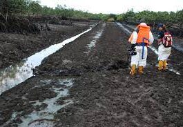 Ogoni