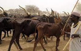 herders