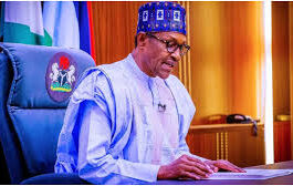 Buhari Appoints Doyin Salami As Chief Economic Adviser