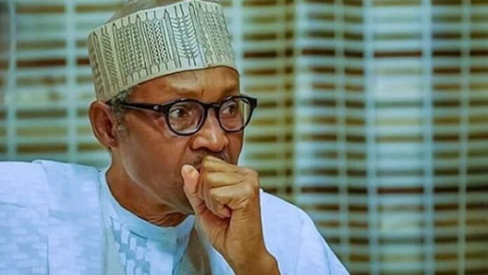 President Muhammadu Buhari has described former Governor of Borno State, Kashim Shettima, as one of Nigeria’s success stories