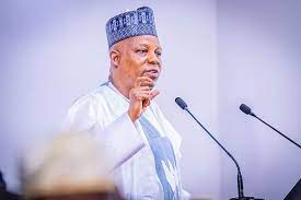 Vice President Shettima urges Africal Leaders on Continental economy