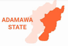 Man Abducts 12 Siblings, Delivers Victims To Boko Haram As New Members